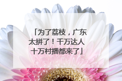 为了荔枝，广东太拼了！千万达人十万村播都来了