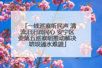 一线巡察听民声 清流汨汨润民心 安宁区委第五巡察组推动解决塘坝通水难题