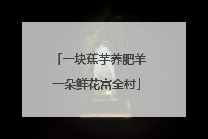 一块蕉芋养肥羊 一朵鲜花富全村