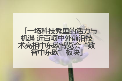 一场科技秀里的活力与机遇 近百项中外前沿技术亮相中东欧博览会“数智中东欧”板块