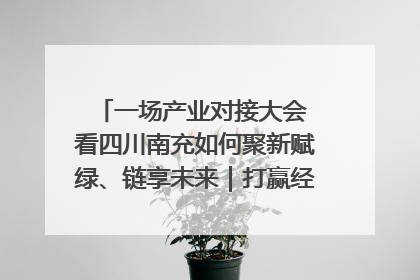 一场产业对接大会 看四川南充如何聚新赋绿、链享未来｜打赢经济发展翻身仗