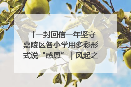 一封回信一年坚守 嘉陵区各小学用多彩形式说“感恩”｜风起之江 扶摇直上