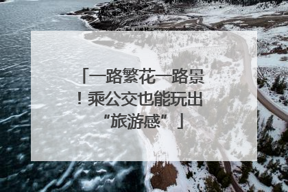 一路繁花一路景！乘公交也能玩出“旅游感”