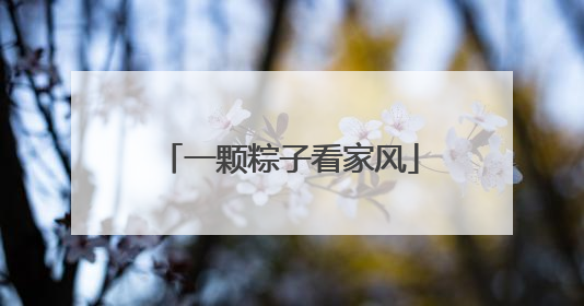 一颗粽子看家风