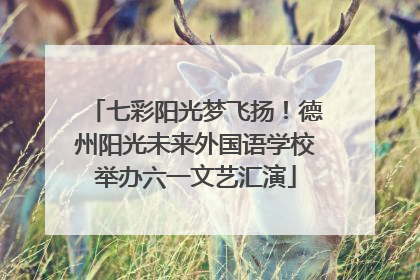 七彩阳光梦飞扬！德州阳光未来外国语学校举办六一文艺汇演