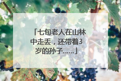七旬老人在山林中走丢，还带着3岁的孙子……