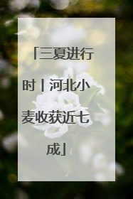 三夏进行时丨河北小麦收获近七成