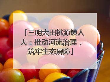 三明大田桃源镇人大：推动河流治理，筑牢生态屏障