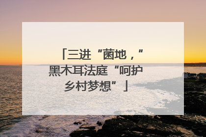 三进“菌地，”黑木耳法庭“呵护乡村梦想”