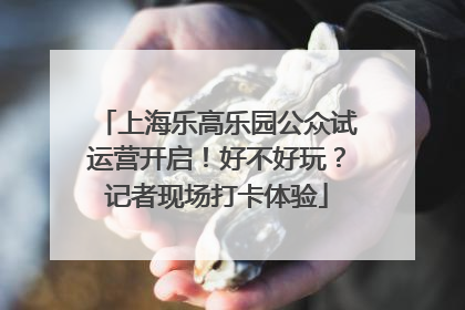 上海乐高乐园公众试运营开启！好不好玩？记者现场打卡体验