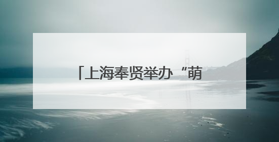 上海奉贤举办“萌娃社交”活动，为青春经济注入新活力