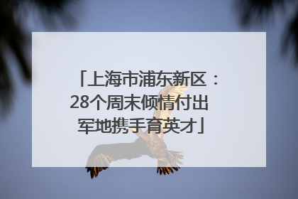 上海市浦东新区：28个周末倾情付出 军地携手育英才