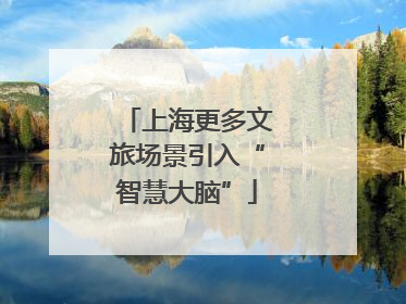 上海更多文旅场景引入“智慧大脑”
