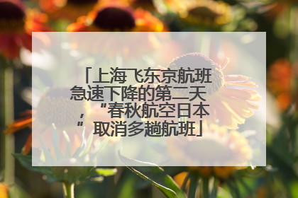 上海飞东京航班急速下降的第二天，“春秋航空日本”取消多趟航班
