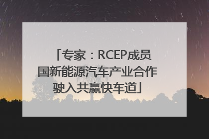 专家：RCEP成员国新能源汽车产业合作驶入共赢快车道