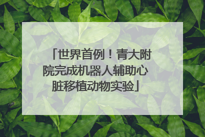 世界首例！青大附院完成机器人辅助心脏移植动物实验