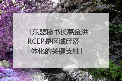 东盟秘书长高金洪：RCEP是区域经济一体化的关键支柱