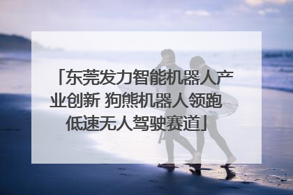 东莞发力智能机器人产业创新 狗熊机器人领跑低速无人驾驶赛道