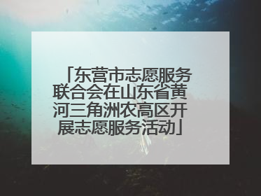 东营市志愿服务联合会在山东省黄河三角洲农高区开展志愿服务活动
