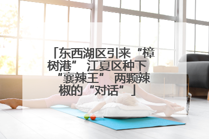东西湖区引来“樟树港” 江夏区种下“襄辣王” 两颗辣椒的“对话”