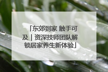 东郊到家 触手可及｜资深技师团队解锁居家养生新体验