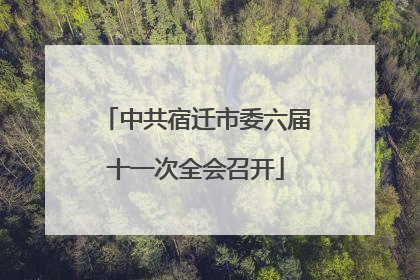 中共宿迁市委六届十一次全会召开