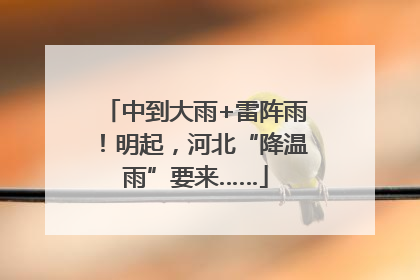 中到大雨+雷阵雨！明起，河北“降温雨”要来……