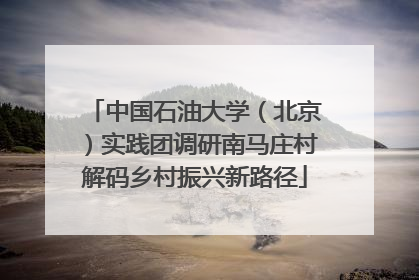 中国石油大学（北京）实践团调研南马庄村解码乡村振兴新路径