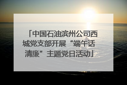 中国石油滨州公司西城党支部开展“端午话清廉”主题党日活动