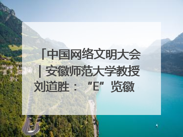 中国网络文明大会｜安徽师范大学教授刘道胜：“E”览徽风，构筑中华民族共有精神家园