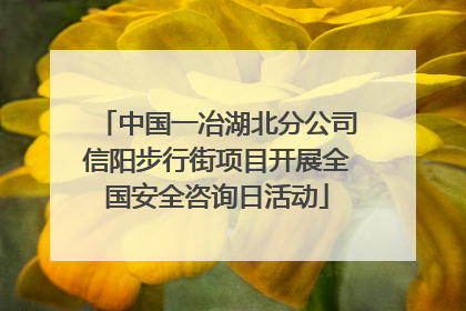 中国一冶湖北分公司信阳步行街项目开展全国安全咨询日活动