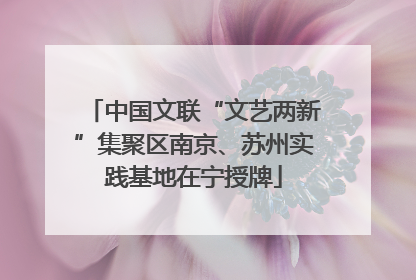 中国文联“文艺两新”集聚区南京、苏州实践基地在宁授牌