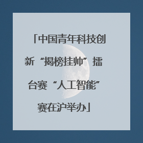 中国青年科技创新“揭榜挂帅”擂台赛“人工智能”赛在沪举办