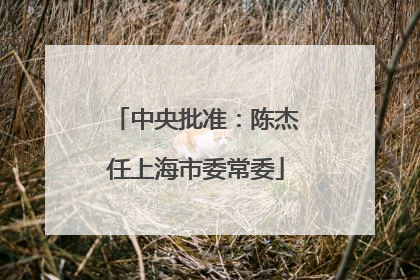 中央批准：陈杰任上海市委常委