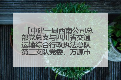 中建一局西南公司总部党总支与四川省交通运输综合行政执法总队第三支队党委、万源市草坝镇莲花院村党支部开展党建联建