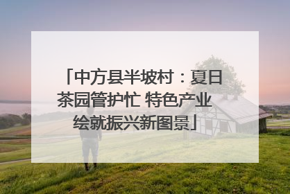 中方县半坡村：夏日茶园管护忙 特色产业绘就振兴新图景