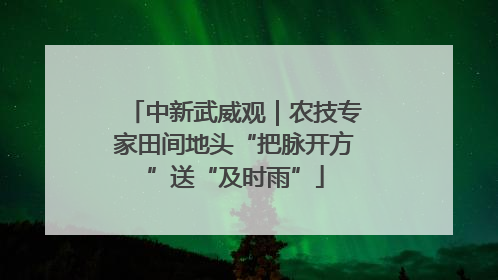 中新武威观｜农技专家田间地头“把脉开方”送“及时雨”