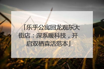 乐乎公寓回龙观东大街店：深系暖科技，开启双栖森活范本