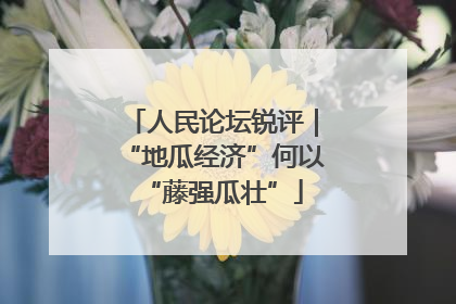 人民论坛锐评｜“地瓜经济”何以“藤强瓜壮”