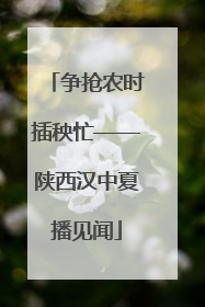 争抢农时插秧忙——陕西汉中夏播见闻