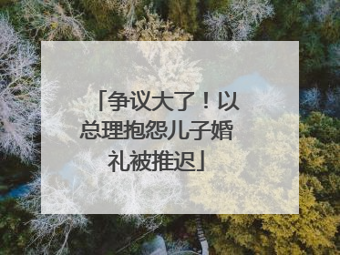 争议大了！以总理抱怨儿子婚礼被推迟