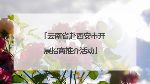 云南省赴西安市开展招商推介活动