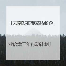 云南发布专精特新企业倍增三年行动计划