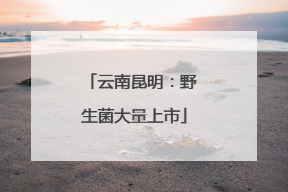 云南昆明：野生菌大量上市