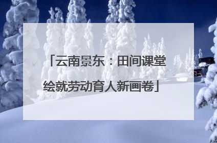 云南景东：田间课堂绘就劳动育人新画卷