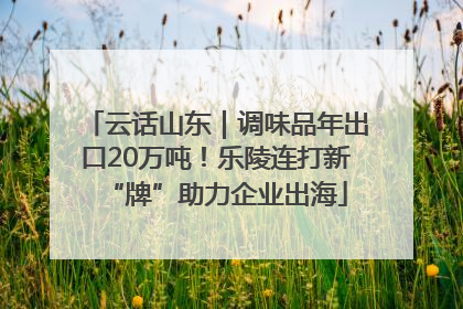 云话山东｜调味品年出口20万吨！乐陵连打新“牌”助力企业出海