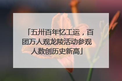 五卅百年忆工运，百团万人观龙陵活动参观人数创历史新高