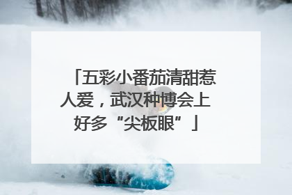 五彩小番茄清甜惹人爱，武汉种博会上好多“尖板眼”