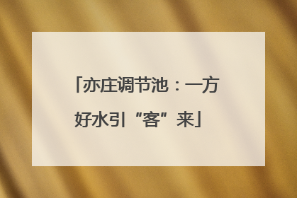 亦庄调节池：一方好水引“客”来