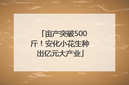 亩产突破500斤！安化小花生种出亿元大产业